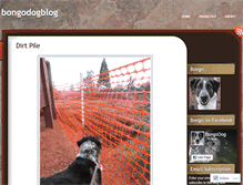 Tablet Screenshot of bongodogblog.com